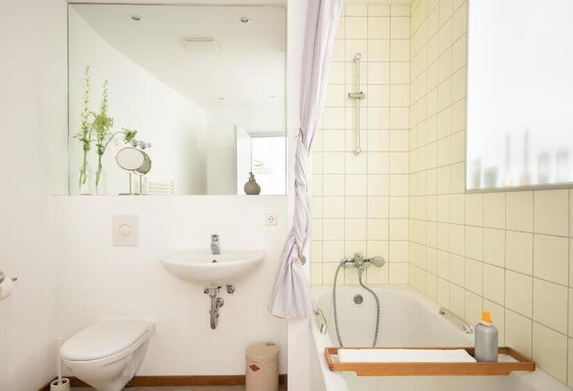 استودیوی استاندارد, Miniloft Apartment