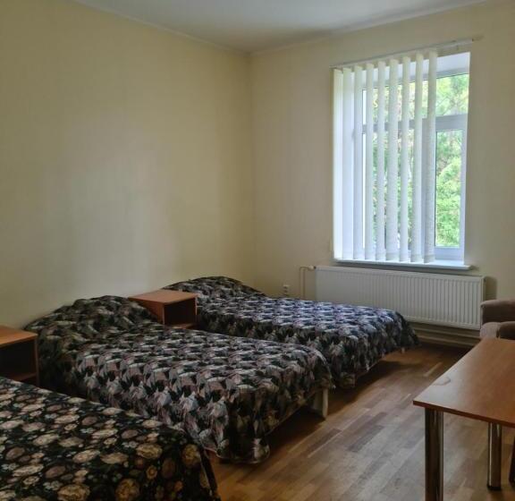 Economy Triple Room, Silport Külalistemaja