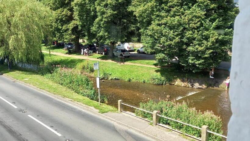 Четырехместный Номер Стандарт, The Buck