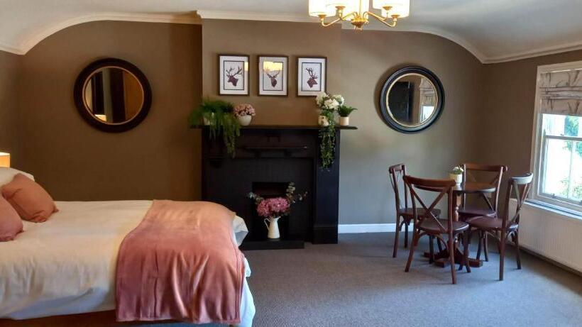 Четырехместный Номер Superior, The Buck