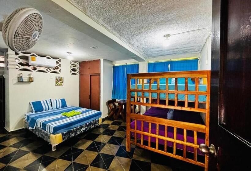 تختخواب در اتاق مشترک, La Casona Sv 2