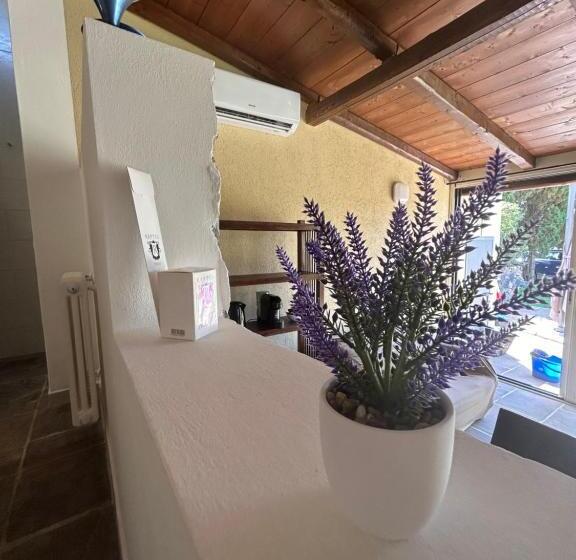 Apartamento 1 Dormitório Vista Jardim, Oltre   Dove Cielo E Mare Si Uniscono