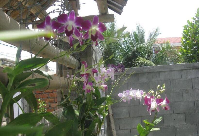 スタンダードルーム, Kol House