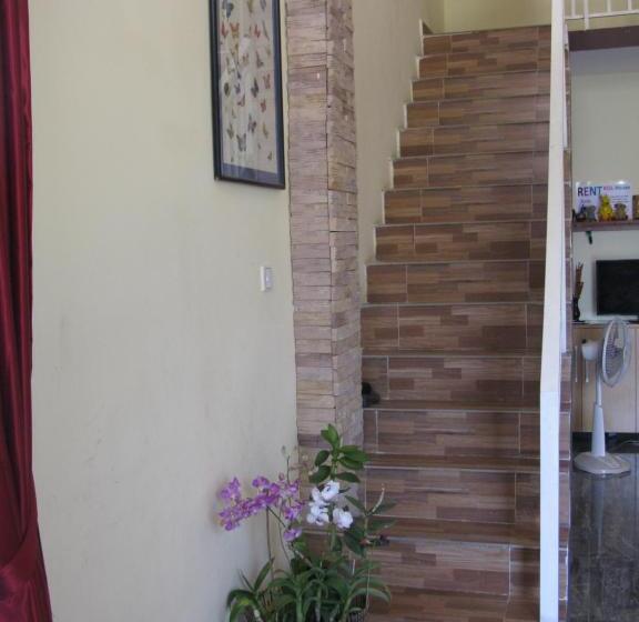 スタンダードルーム, Kol House