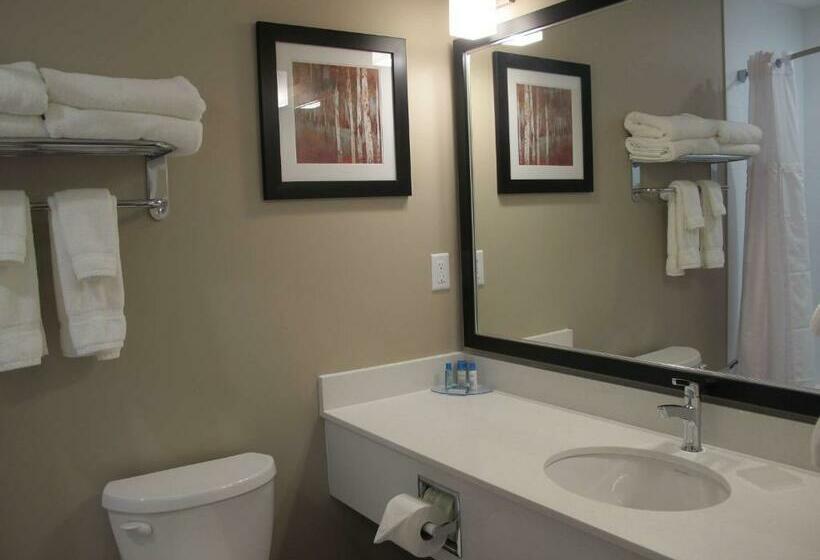 标准间, Best Western Plus Merritt