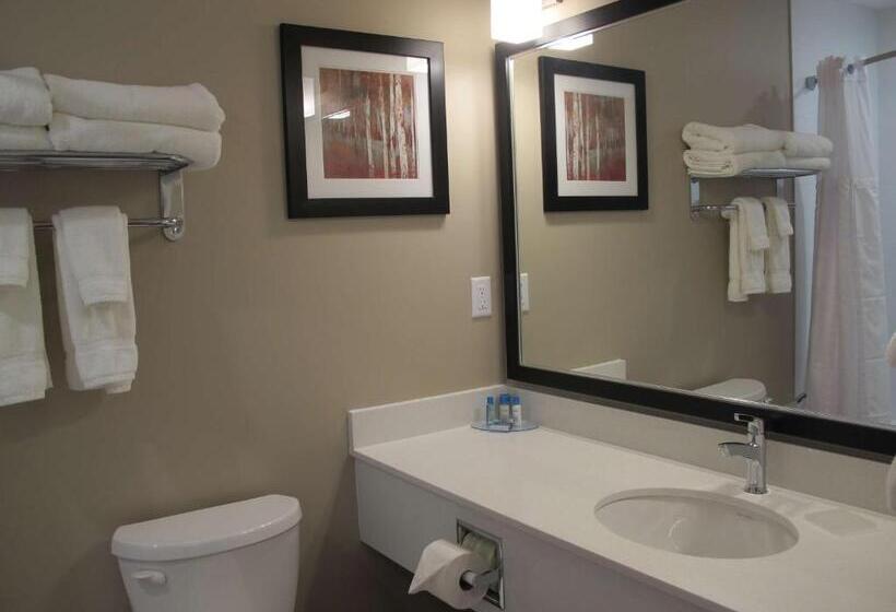 带大床的标准间, Best Western Plus Merritt