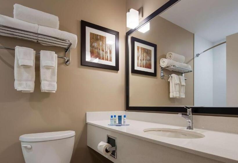 Номер Стандарт 2 Двуспальные Кровати, Best Western Plus Merritt