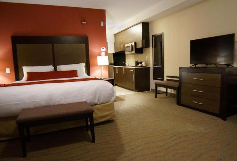 带大床的标准间, Best Western Plus Merritt