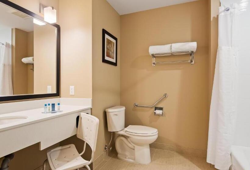 带大床的标准间, Best Western Plus Merritt