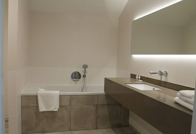 豪华房间, Schaluinenhoeve