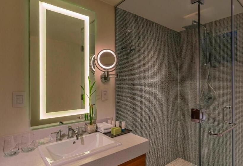 إستوديو قياسى سرير كينج, The Westin Cozumel