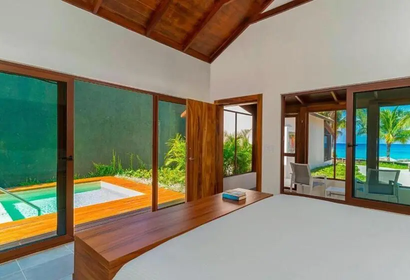 Standard-studio King-vuode, The Westin Cozumel