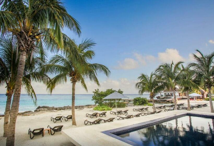 غرفة كلاسيكية, The Westin Cozumel