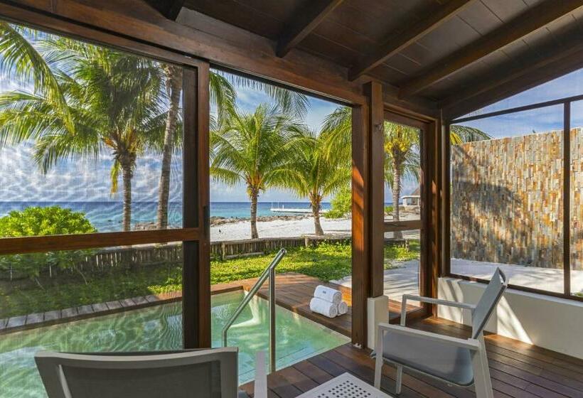 Standard Studio King Bed, The Westin Cozumel