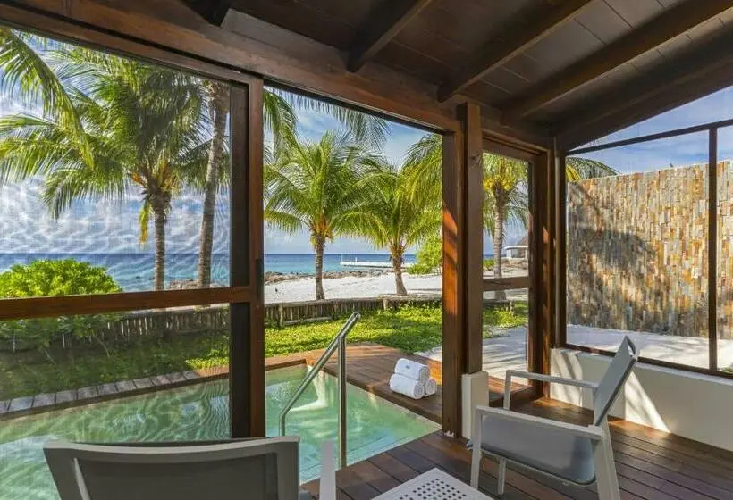 Standard-studio King-vuode, The Westin Cozumel