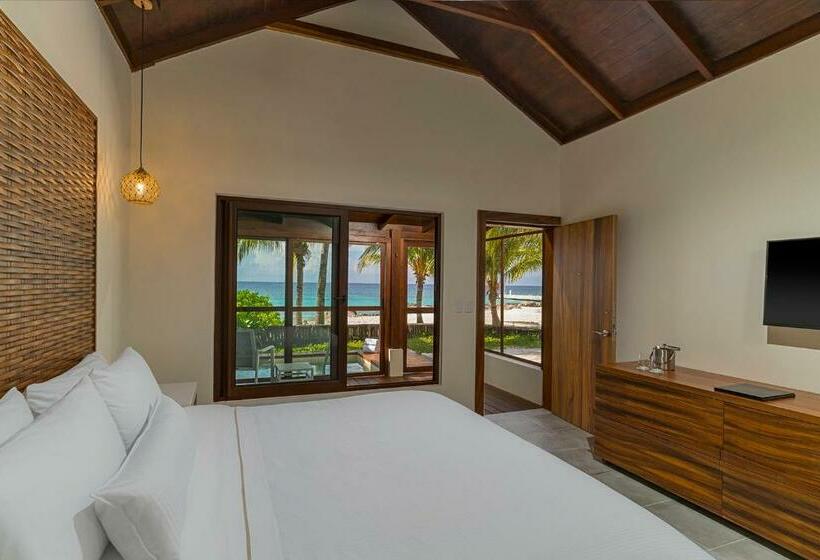 إستوديو قياسى سرير كينج, The Westin Cozumel