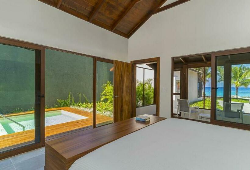 Standard Studio King Bed, The Westin Cozumel