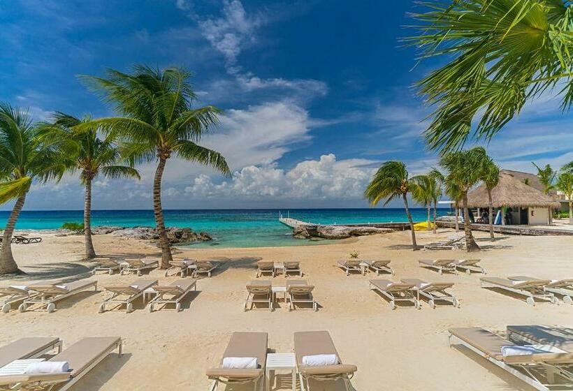 إستوديو قياسى سرير كينج, The Westin Cozumel