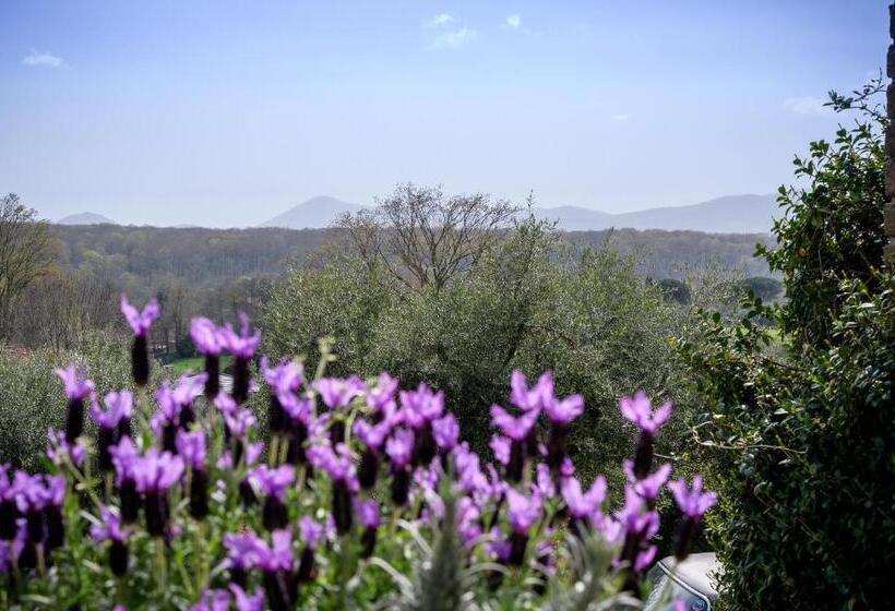 スタンダードルーム, Villa Rossella