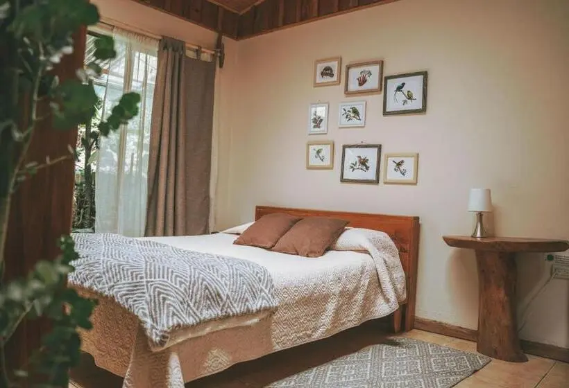 スタンダードルーム, Santuario Ecologico Monteverde