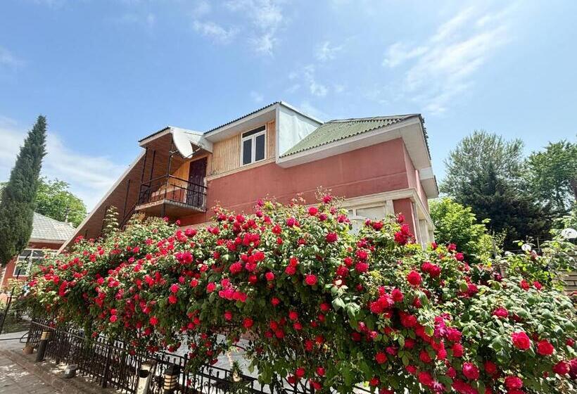 آپارتمان 1 خوابه, Stop