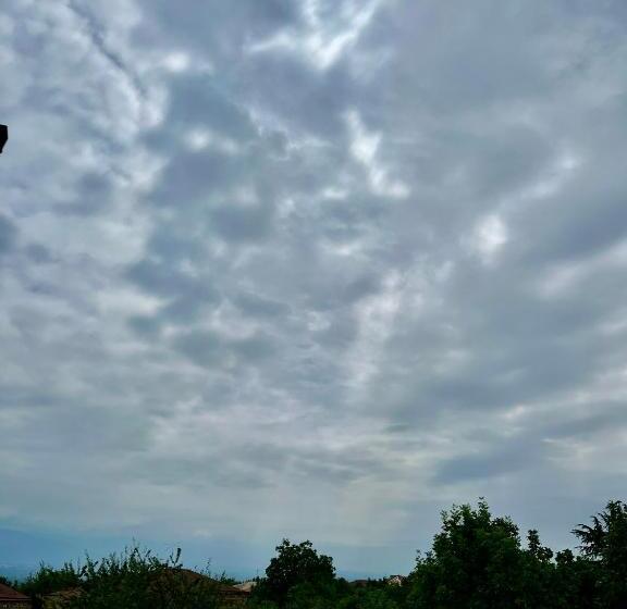 اتاق استاندارد, Nino S Guest House