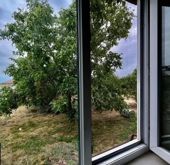 اتاق استاندارد, Nino S Guest House