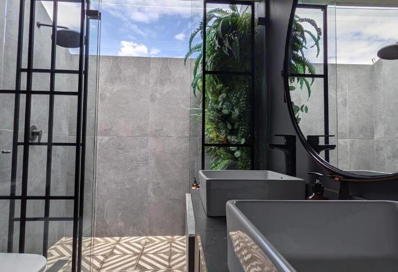 شقة دور أخير غرفة نوم واحدة, The Belmonte Penthouse