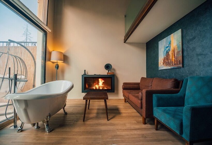 اتاق استاندارد, Dellago Luxury Hotel Sapanca