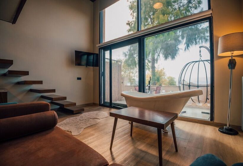 Номер Стандарт, Dellago Luxury Hotel Sapanca