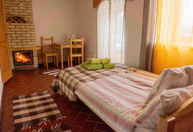 اتاق استاندارد یک نفره, Ružas