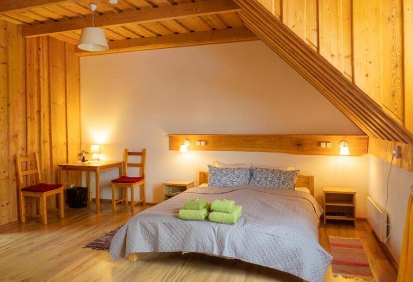 اتاق استاندارد, Ružas