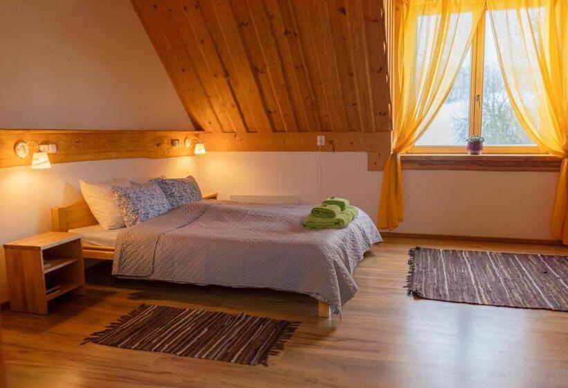 اتاق استاندارد, Ružas