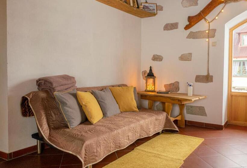 خانه 1 خوابه, Ružas