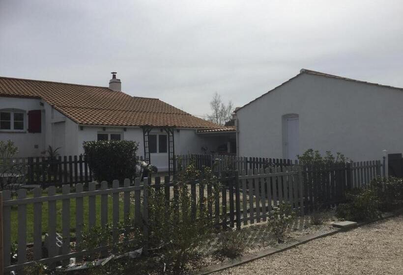 标准间, Studio Charleston