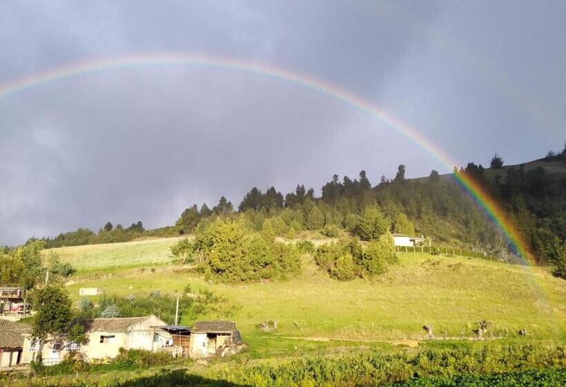 Номер Стандарт, Los Geranios Hospedaje