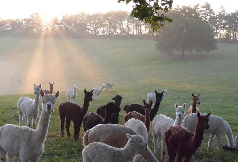 Семейный Номер, Alpagas Du Quercy