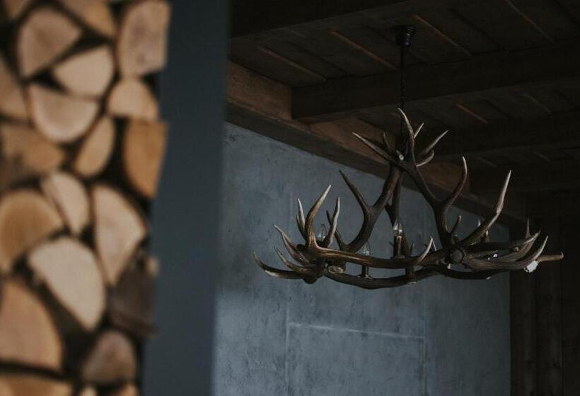 Номер Стандарт, Montem