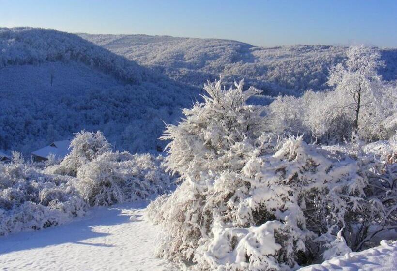 Номер Стандарт, Montem