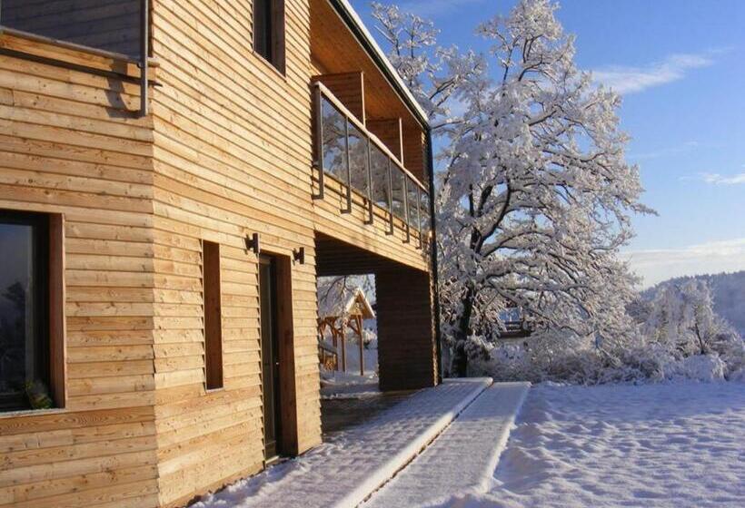 Номер Стандарт, Montem