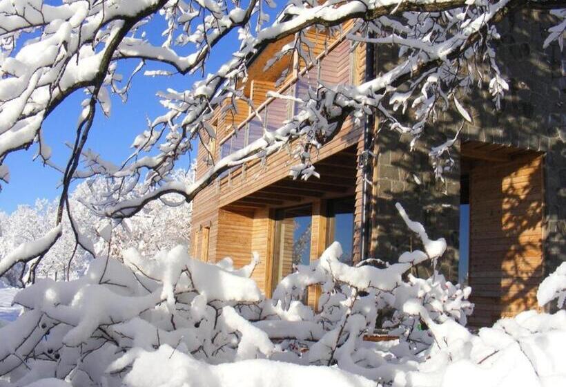 Номер Стандарт, Montem