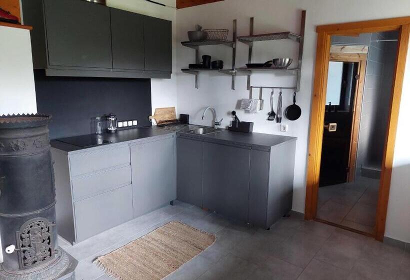 Апартаменты 1 Спальня, Montem