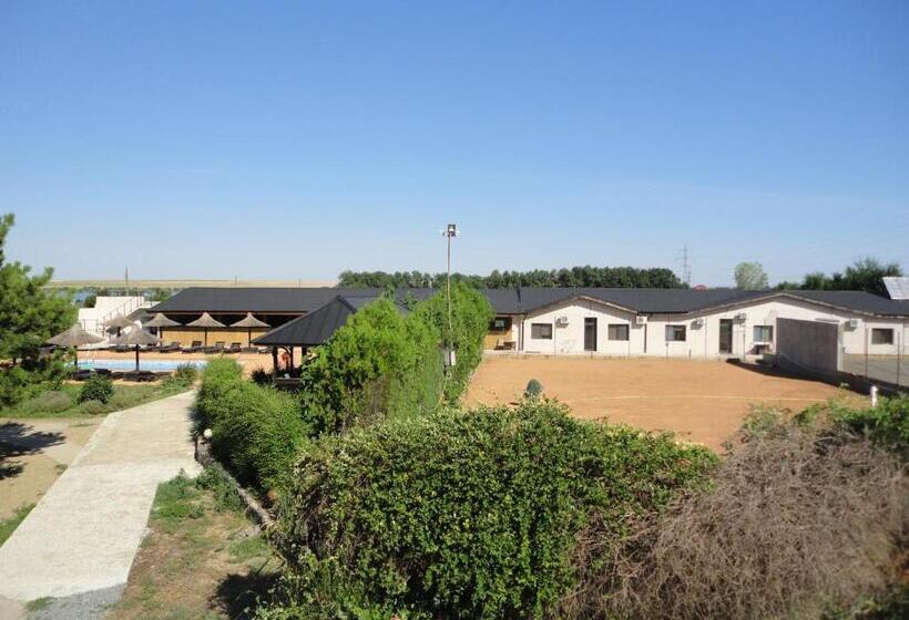 غرفة قياسية, Greenstone Land   Corbu