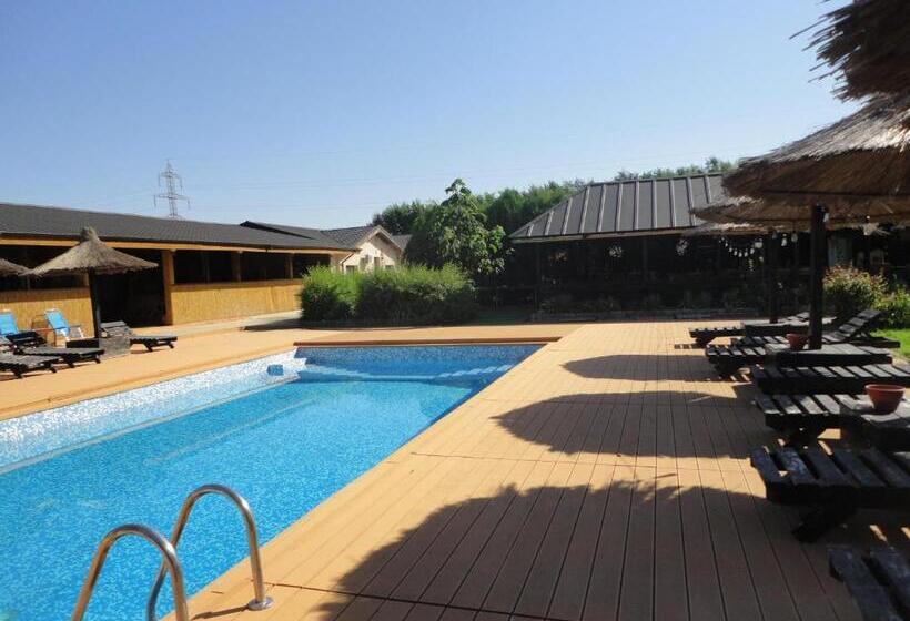 غرفة قياسية, Greenstone Land   Corbu