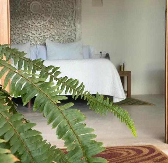 스위트, Boho Suites Denia