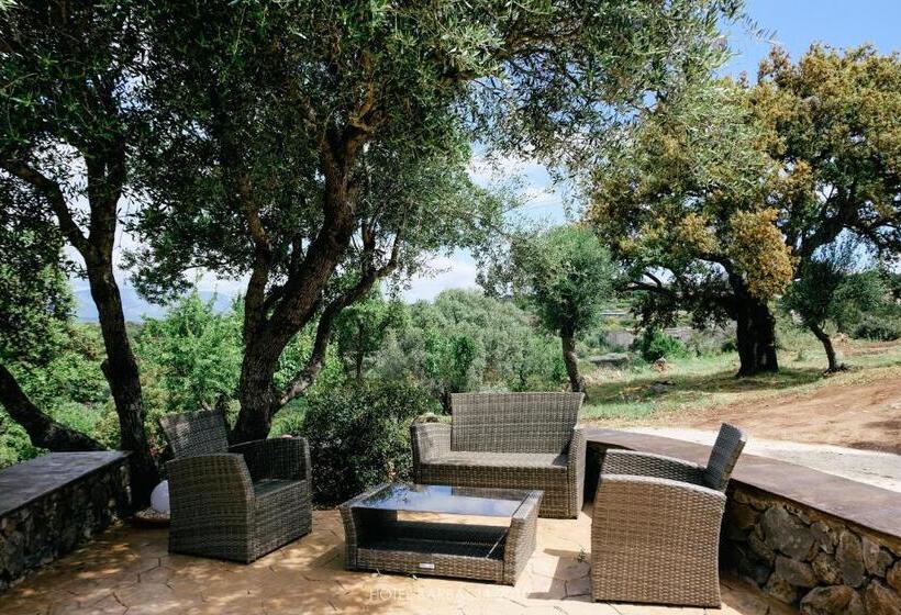 스탠다드 싱글 룸, Barbagia