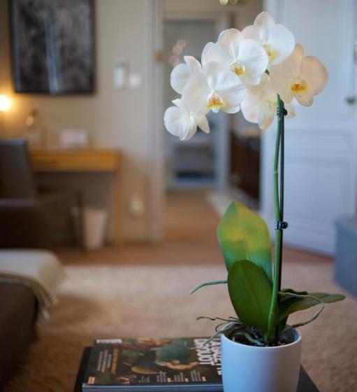 سوییت جونیور, Clos 1906