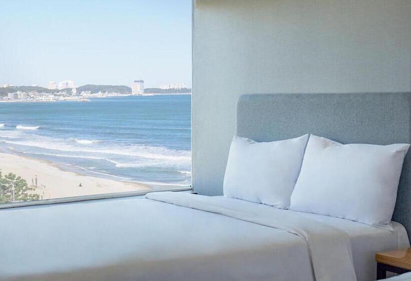 Family Suite, El