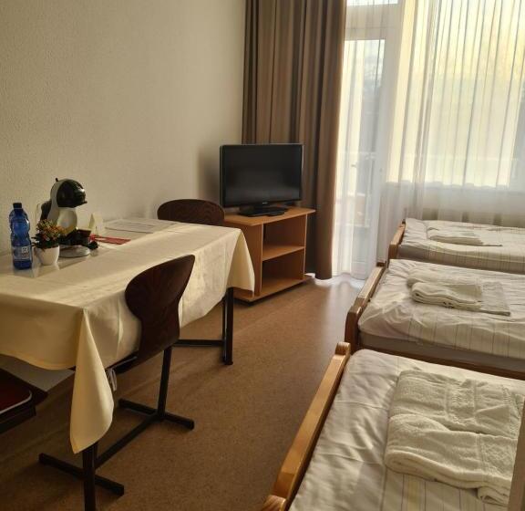 חדר סטנדרט לשלושה, Gästehaus Haßloch/pfalz