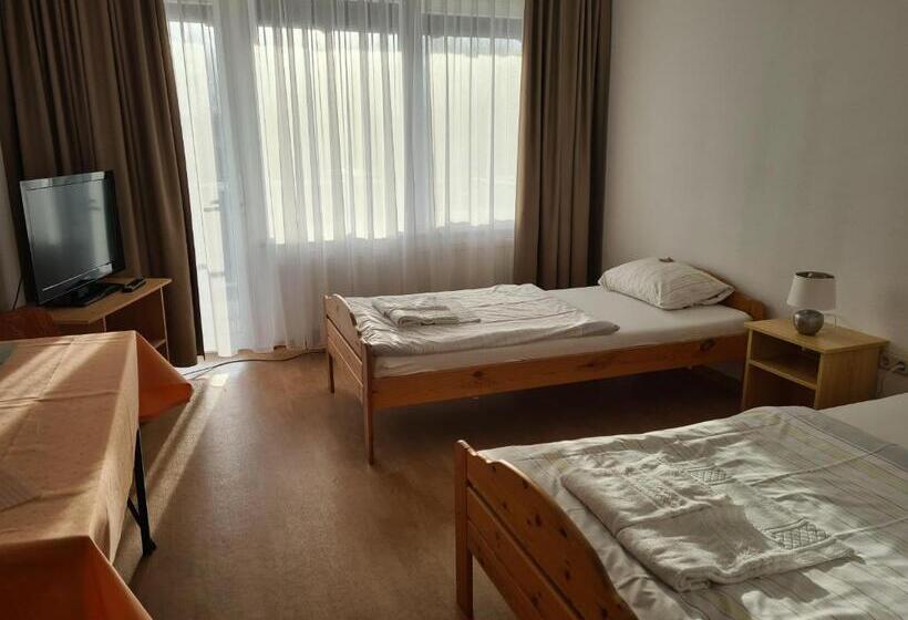 חדר סטנדרט עם מרפסת, Gästehaus Haßloch/pfalz